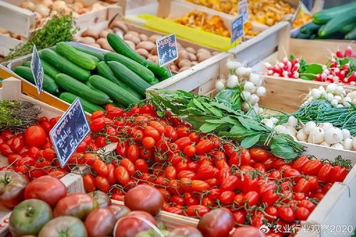 農產品B2B電商 顛覆傳統(tǒng)模式，開啟未來新篇章
