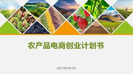 農(nóng)產(chǎn)品電商創(chuàng)業(yè)計劃書 構建數(shù)字化生態(tài)，賦能現(xiàn)代農(nóng)業(yè)新未來
